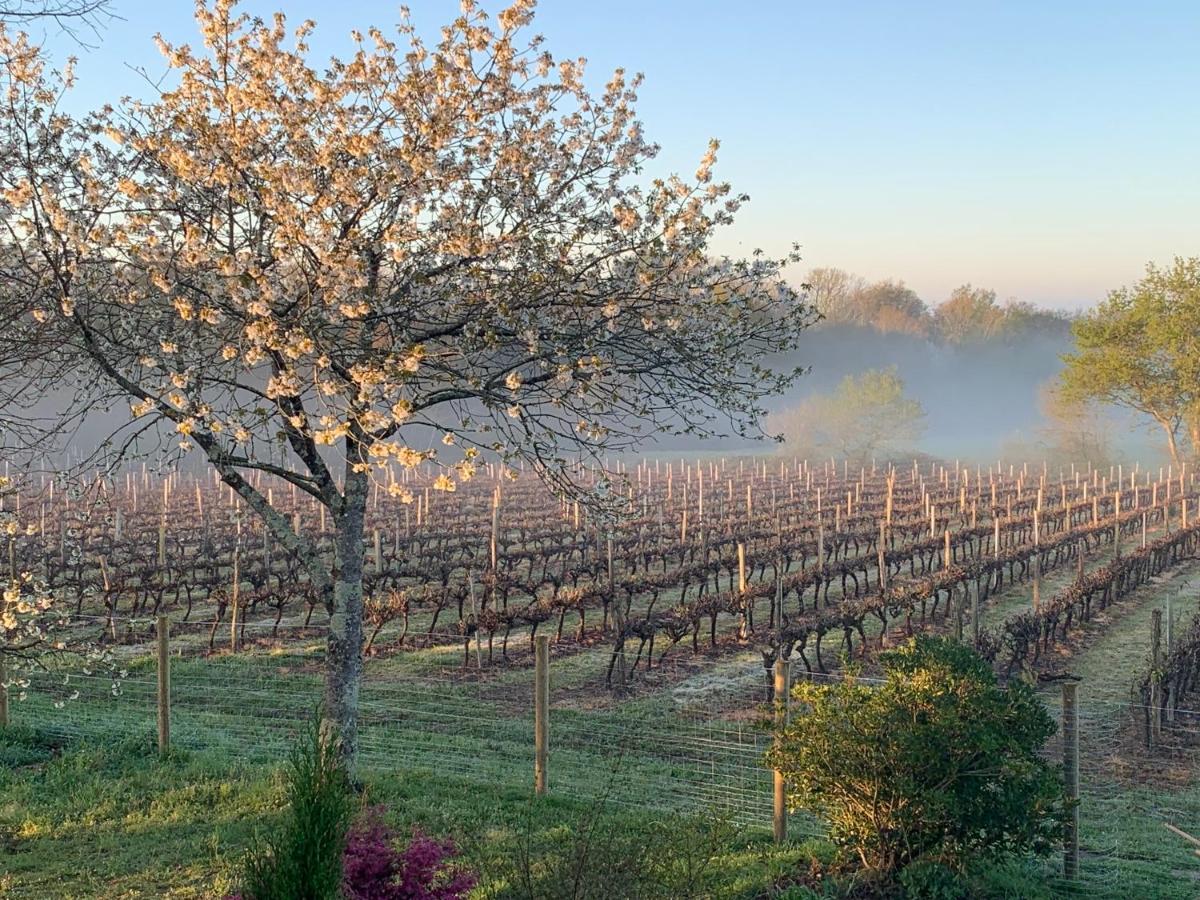 Lauberge De Nogaro Caupenne-d'Armagnac Luaran gambar
